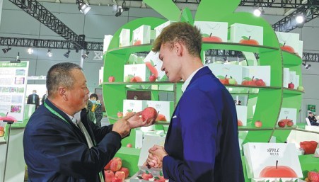 An exhibitor at the first China Shandong International Apple Festival shows his fruit to a foreign visitor. ZHANG DANDAN/CHINA DAILY