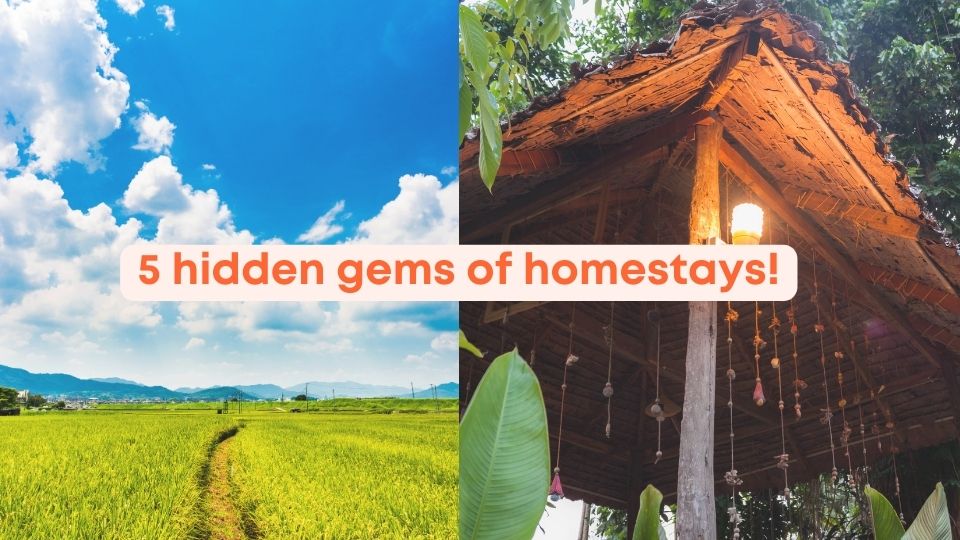 benefits of homestay tourism