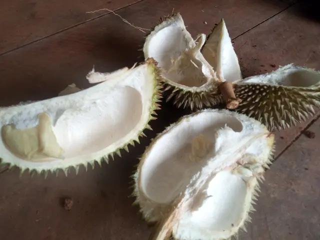kulit durian
