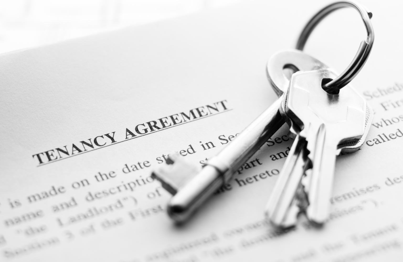 Real Estate 101 A Guide to Tenancy Agreements in Malaysia