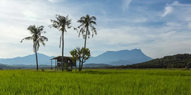 Sabah Land