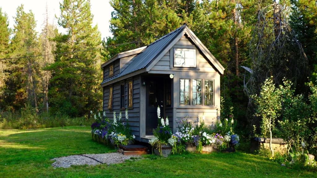 tiny house in the forest