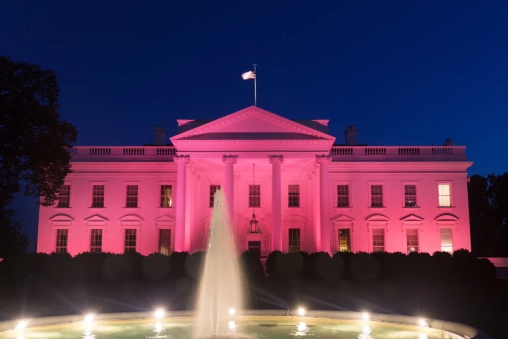 the white house in pink