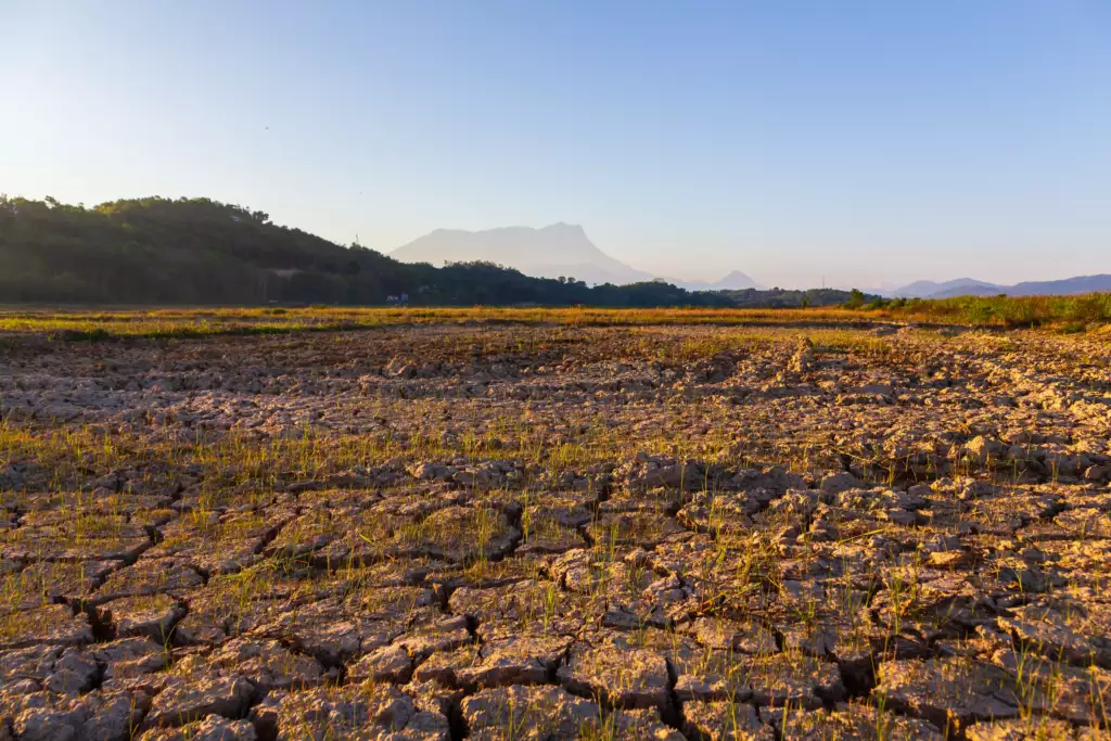 What is the cause of El Nino