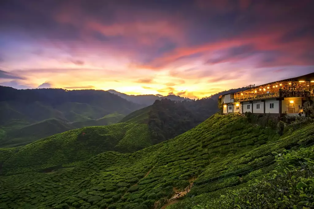 suasana sunset di cameron highland pahang